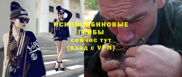 МДПВ Алексин