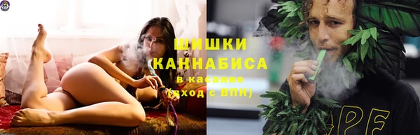 соль ск Алзамай