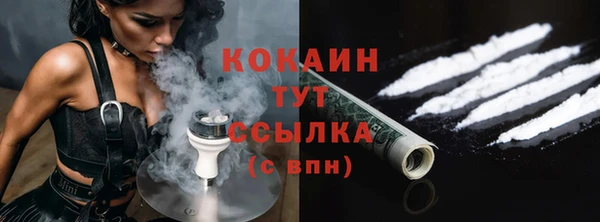соль ск Алзамай