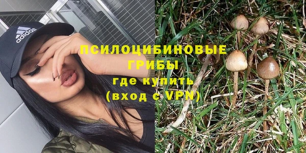 МДПВ Алексин