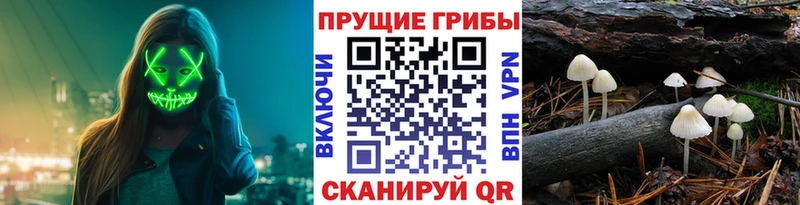 Псилоцибиновые грибы GOLDEN TEACHER Котлас