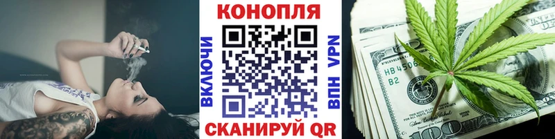 Бошки Шишки Amnesia  Котлас 
